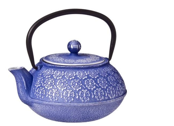 Japanese Style Cast Iron Tea Pots