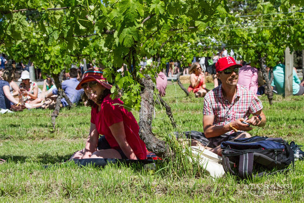 A toast to pies, wines and fritters and friends