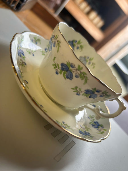 Vintage Collectors Tea Cups Hammersley
