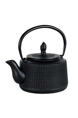 Japanese Style Cast Iron Tea Pots