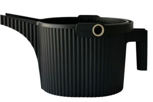 Beetle Watering Can