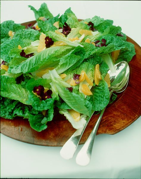 Cos Lettuce and Orange Salad