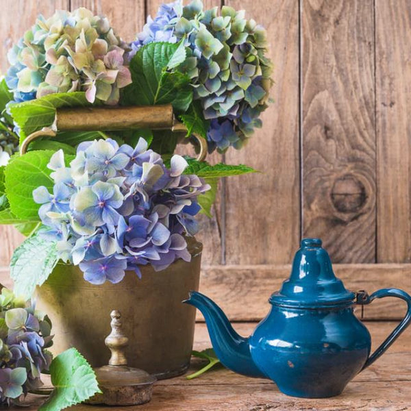 EVENT: Ruth's Sunday High Tea - Queen's Birthday Weekend