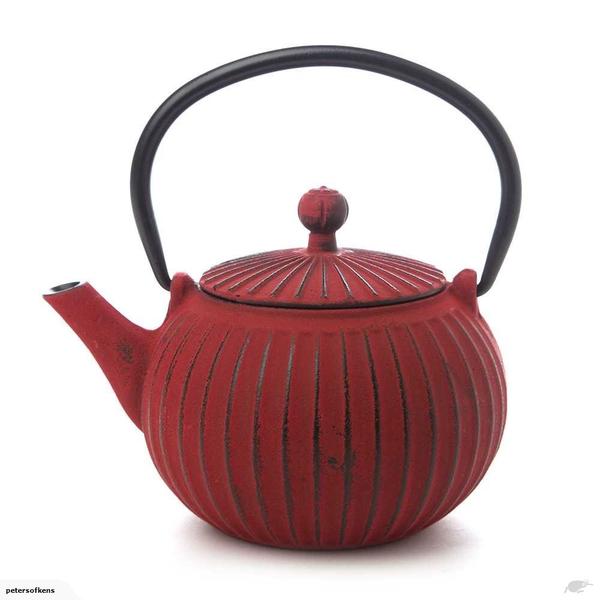 Japanese Style Cast Iron Tea Pots