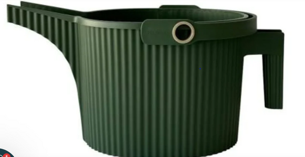 Beetle Watering Can