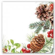Luncheon Napkins