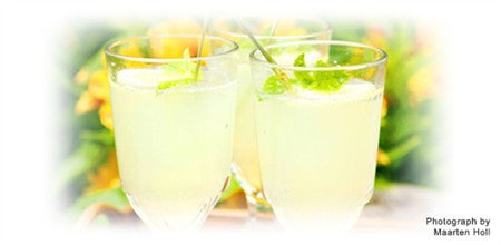 LEMON AND GINGER CORDIAL