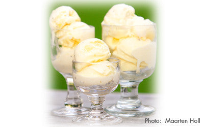NON-CHURN GOLDEN KIWIFRUIT ICE CREAM
