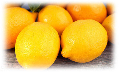 PRESERVED LEMONS