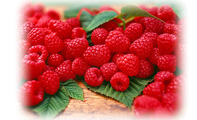Raspberry Sauce