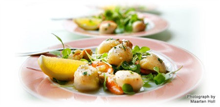 SCALLOPS PROVENCALE