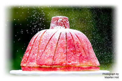 VANILLA SPONGE CAKE FOR ZUCCOTTO