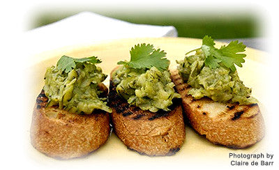ZUCCHINI PASTE ON BRUSCHETTA
